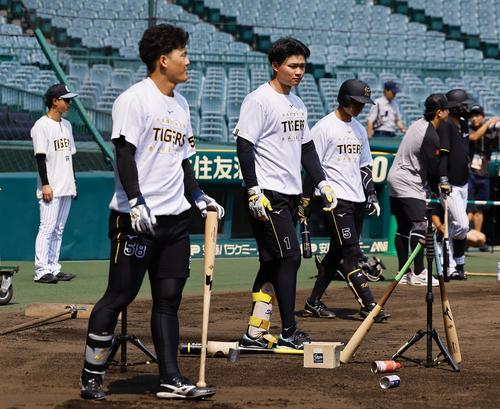 阪神】藤川球児監督流クールビズ 練習でハーフパンツ着用スタート