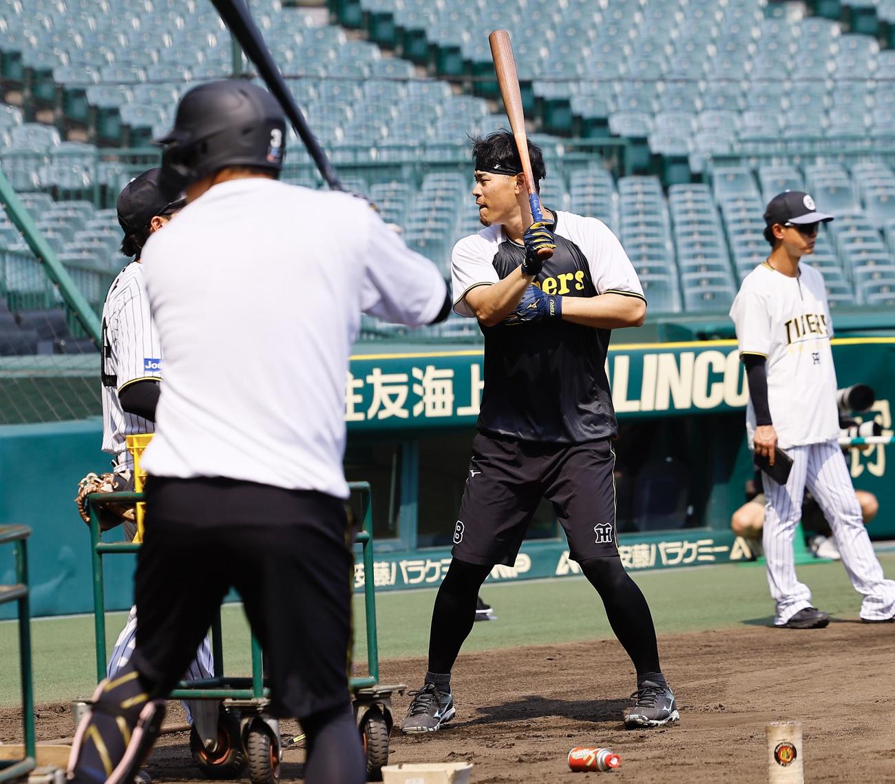 ハーフパンツで練習する阪神佐藤輝明（撮影・藤尾明華）