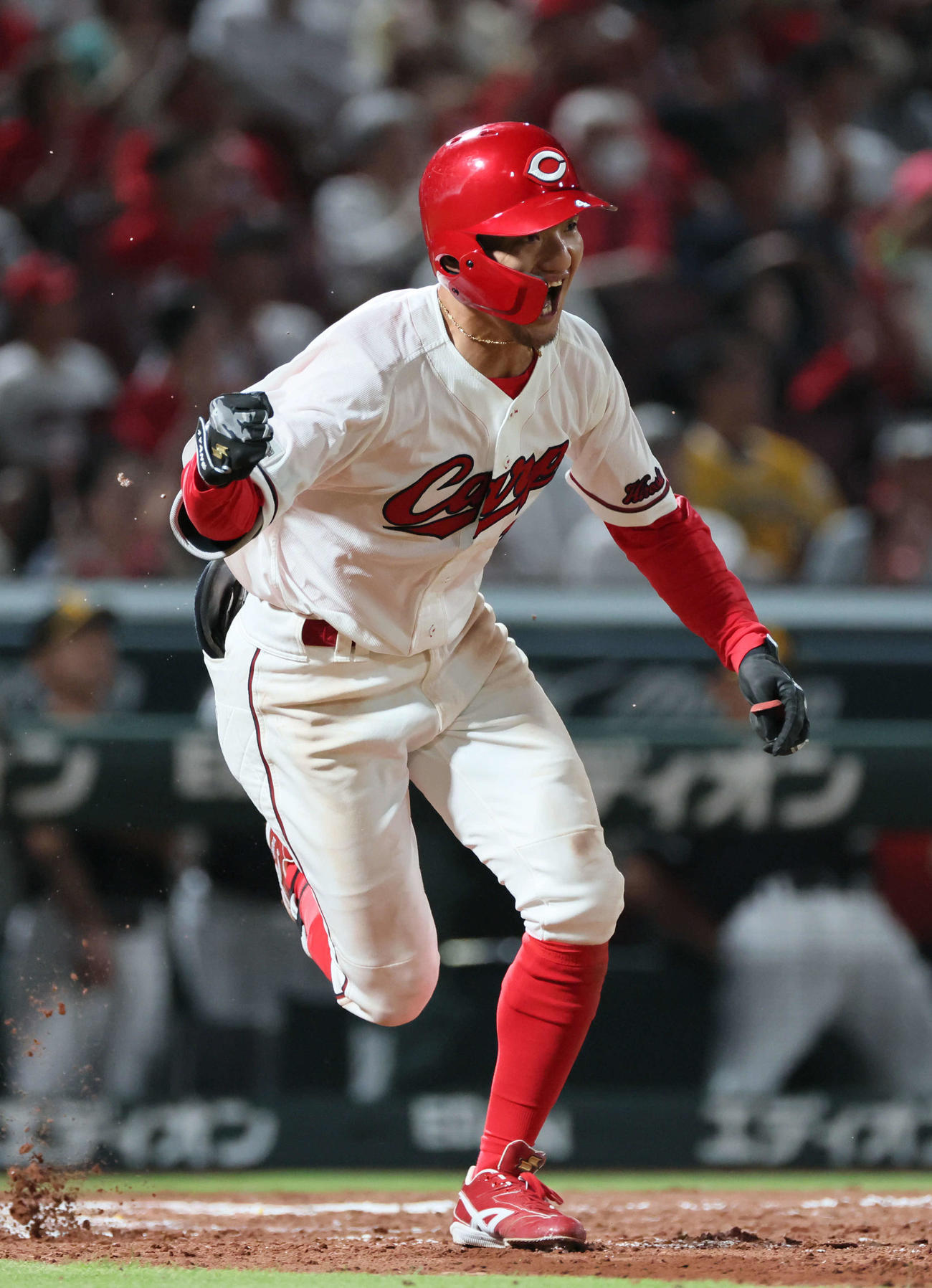 広島矢野雅哉（2025年6月18日撮影）