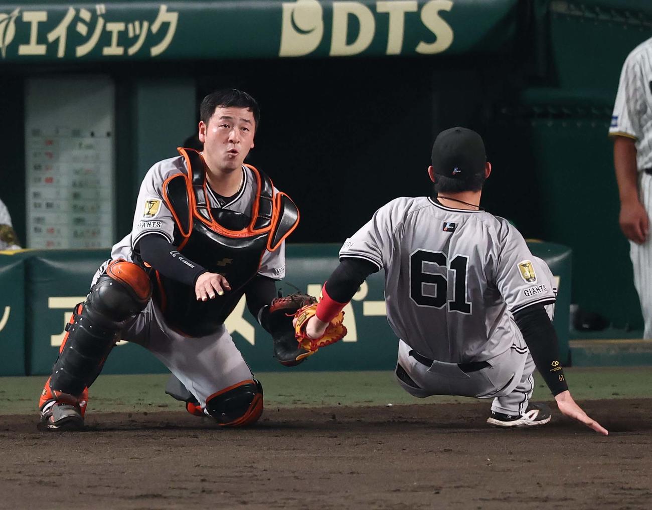 阪神対巨人　5回裏阪神1死二塁、増田陸（右）は森下の一邪飛を岸田とぶつかりながら捕球する（撮影・上田博志）