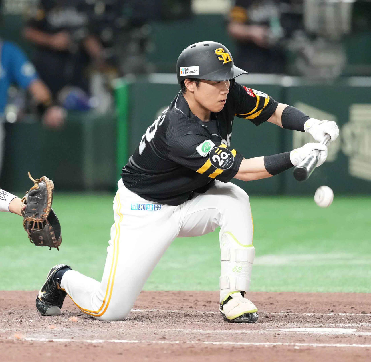 ソフトバンク対日本ハム　7回裏ソフトバンク無死一、二塁、海野は投前に送りバントを決める（撮影・小沢裕）