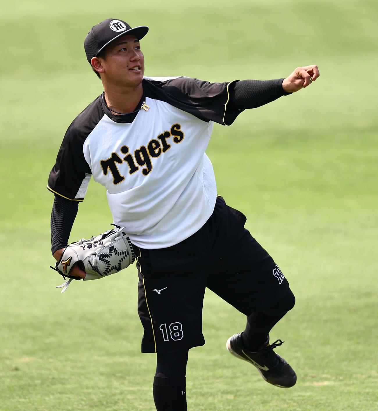 阪神対巨人　キャッチボールをする伊原（撮影・上田博志）