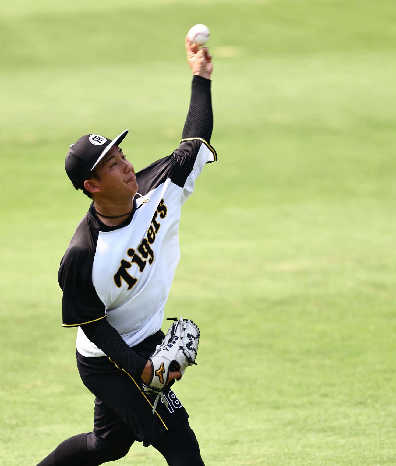 阪神対巨人　キャッチボールをする伊原（撮影・上田博志）