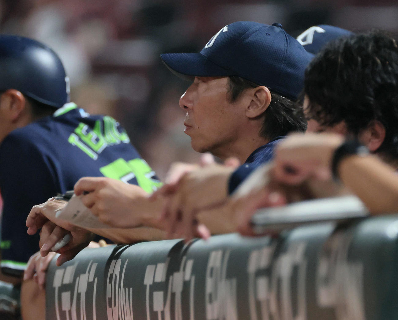 広島対ヤクルト　7回裏、ベンチから試合を見つめるヤクルト高津監督（撮影・加藤孝規）