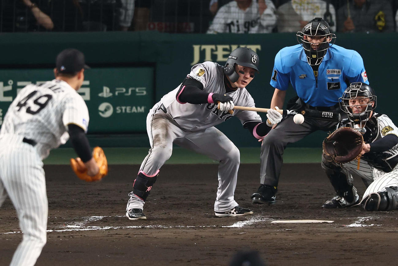 阪神対巨人　8回表巨人無死一塁、丸は送りバントを決める（撮影・上田博志）