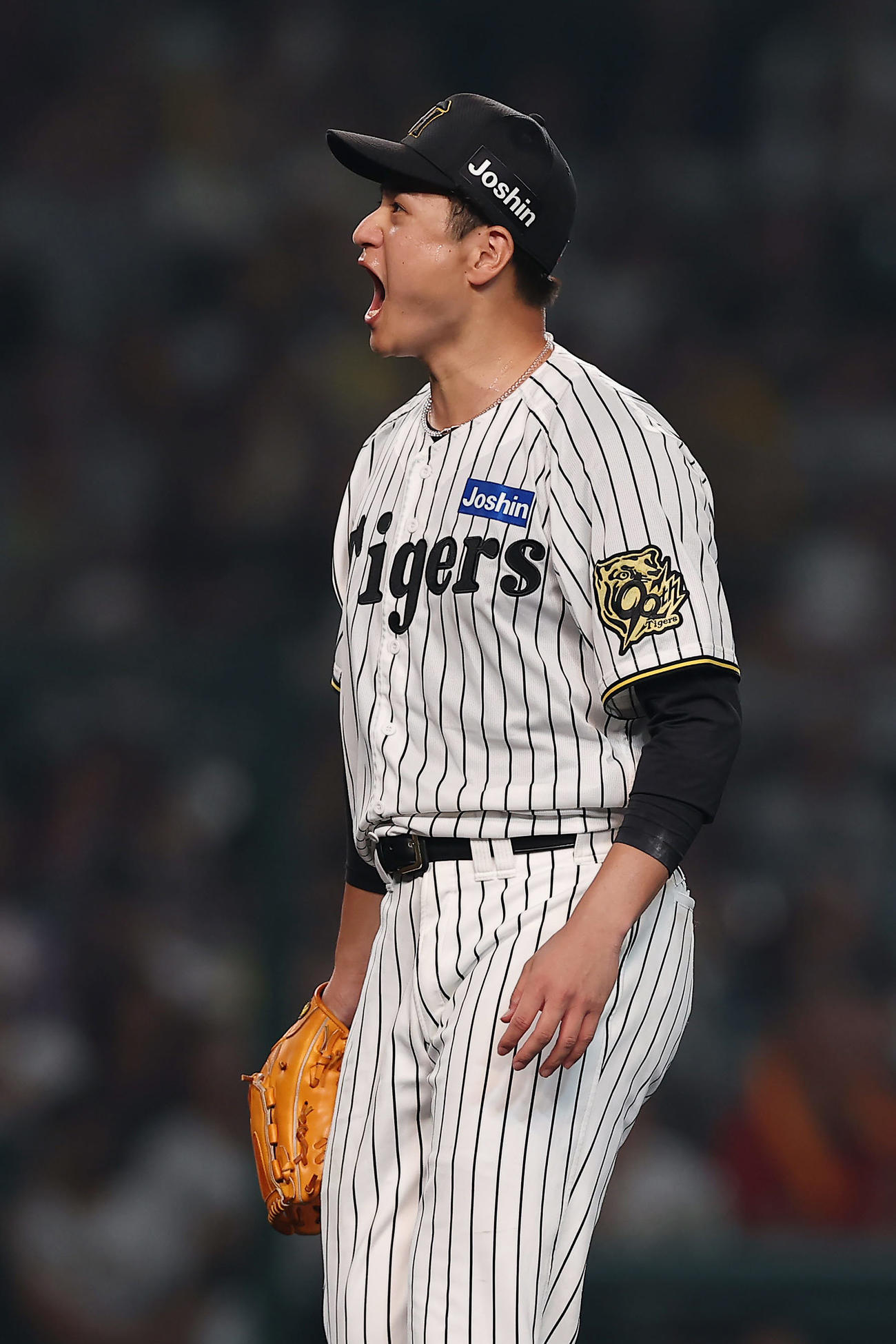 阪神対巨人　7回表巨人2死、甲斐を右飛に打ち取った大竹（撮影・前田充）