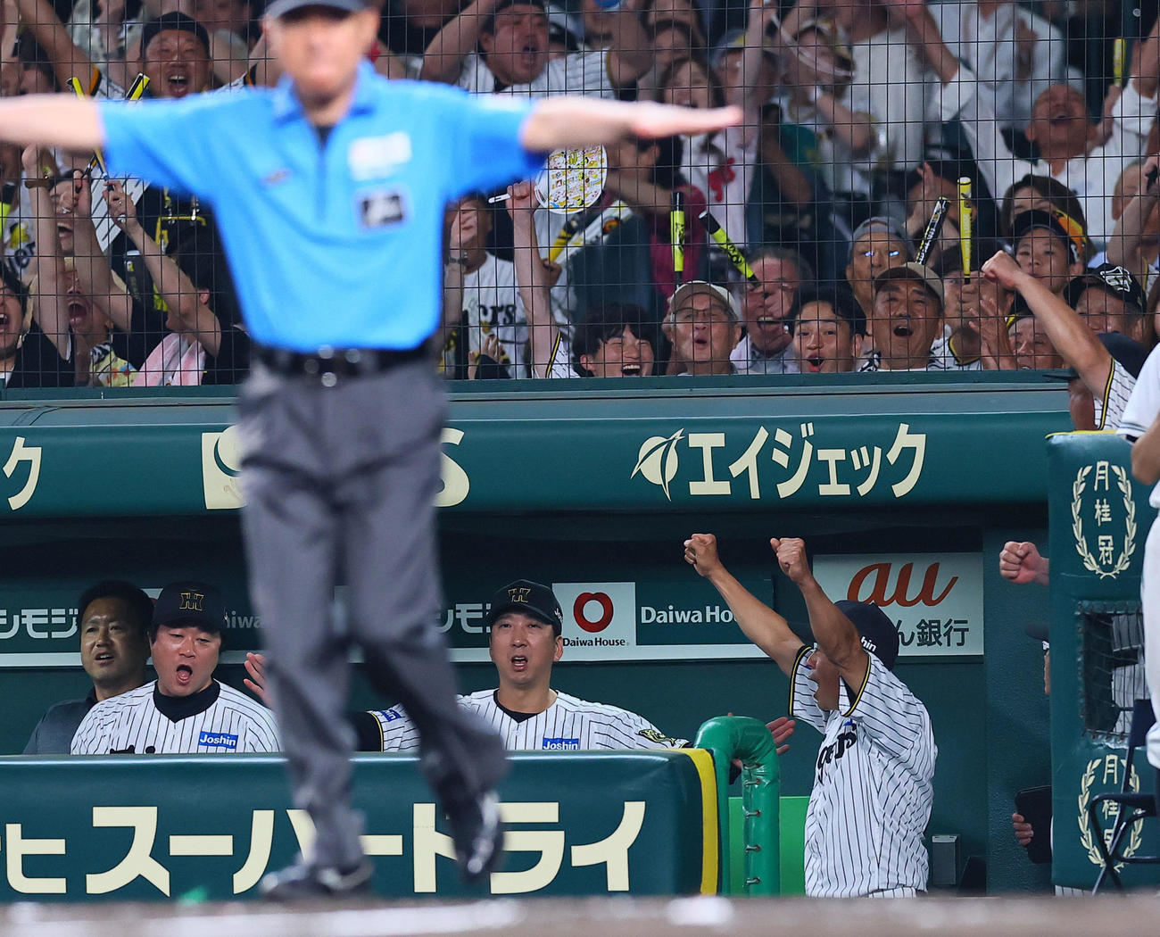 阪神対巨人　8回裏阪神2死一、二塁、大山の遊撃適時内野安打で生還する森下。アウトに判定もリクエストでセーフとなりベンチで喜ぶ藤川監督（中央）（撮影・藤尾明華）