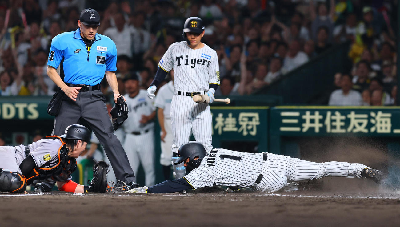 阪神対巨人　8回裏阪神2死一、二塁、大山の遊撃適時内野安打で生還する森下。捕手甲斐。判定はアウトもリクエストでセーフとなる（撮影・藤尾明華）