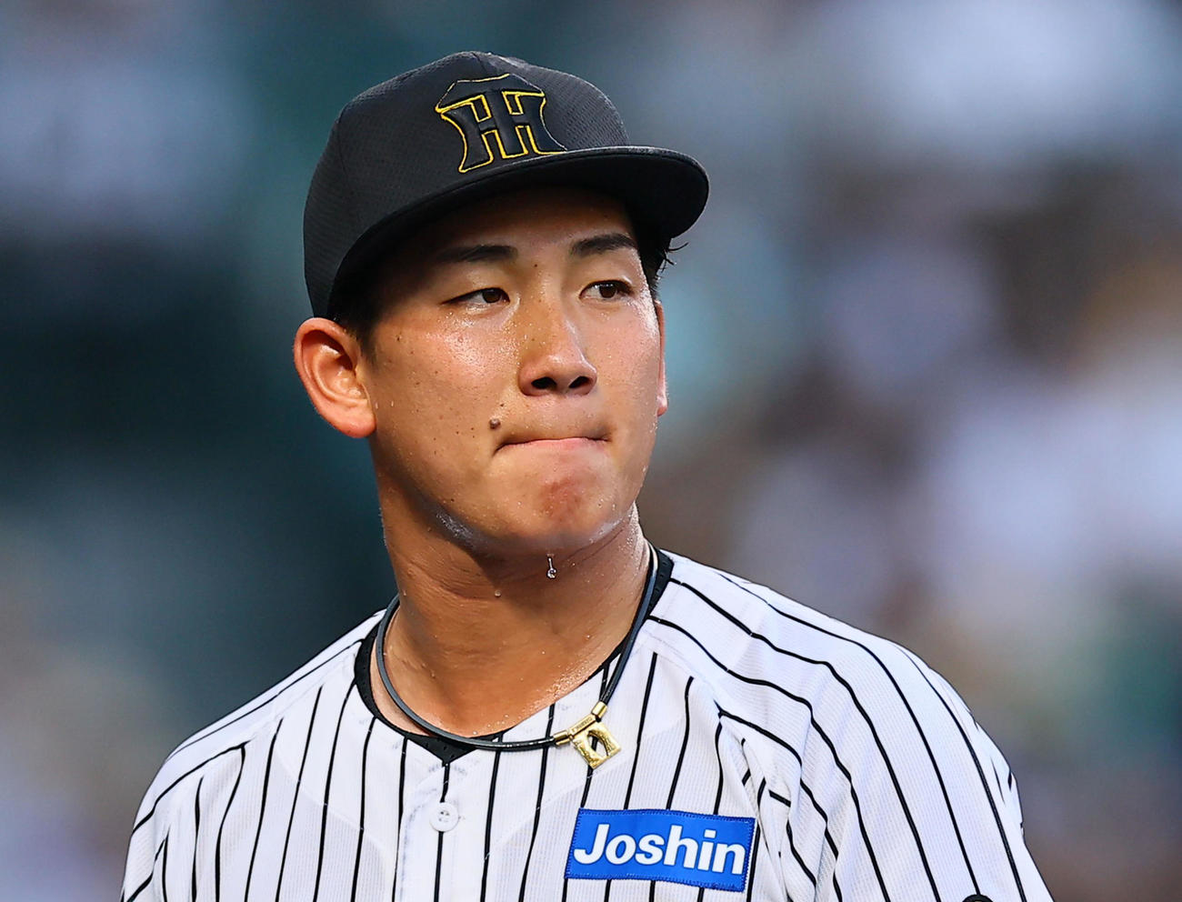 阪神対巨人　1回を終え、汗を滴らせながらベンチに戻る阪神伊原（撮影・藤尾明華）