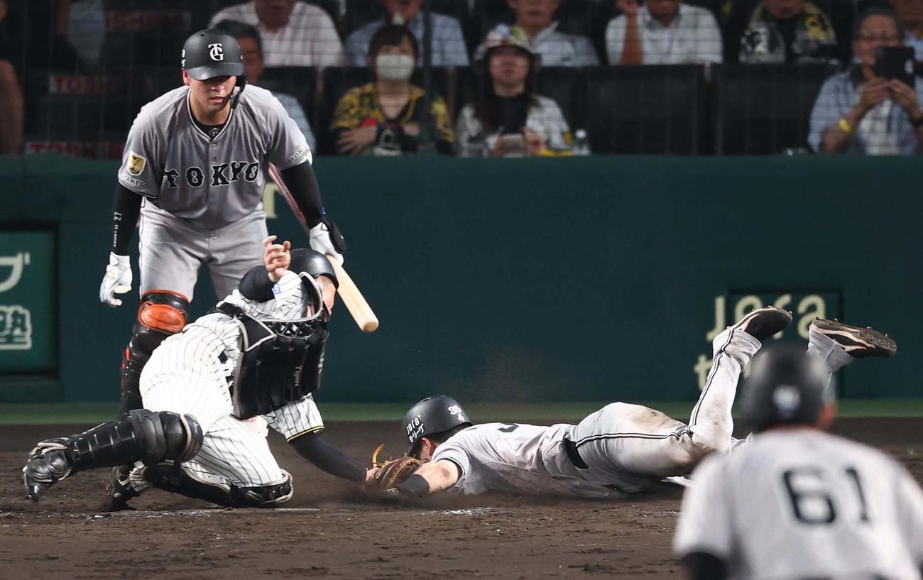 阪神対巨人　5回表巨人1死一、二塁、坂本の安打で生還を狙うも憤死する泉口。捕手は坂本（撮影・上田博志）