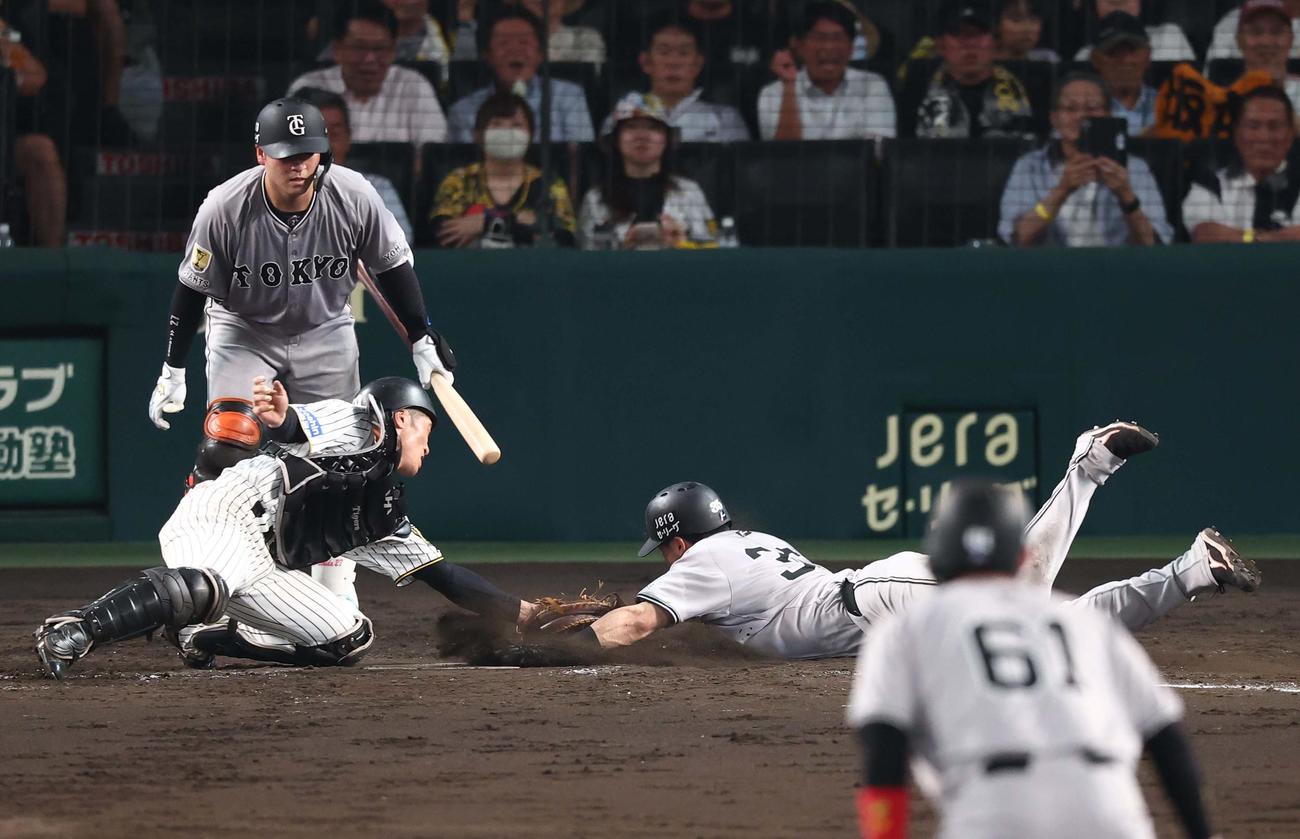 阪神対巨人　5回表巨人1死一、二塁、坂本の安打で生還を狙うも憤死する泉口。捕手は坂本（撮影・上田博志）