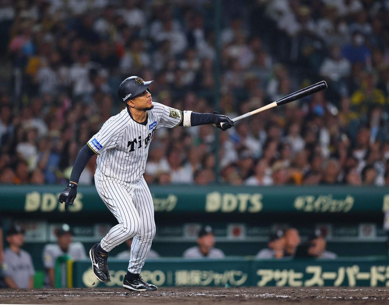 阪神対巨人　5回裏阪神無視一、三塁、代打ヘルナンデスは右犠飛を放つ（撮影・藤尾明華）