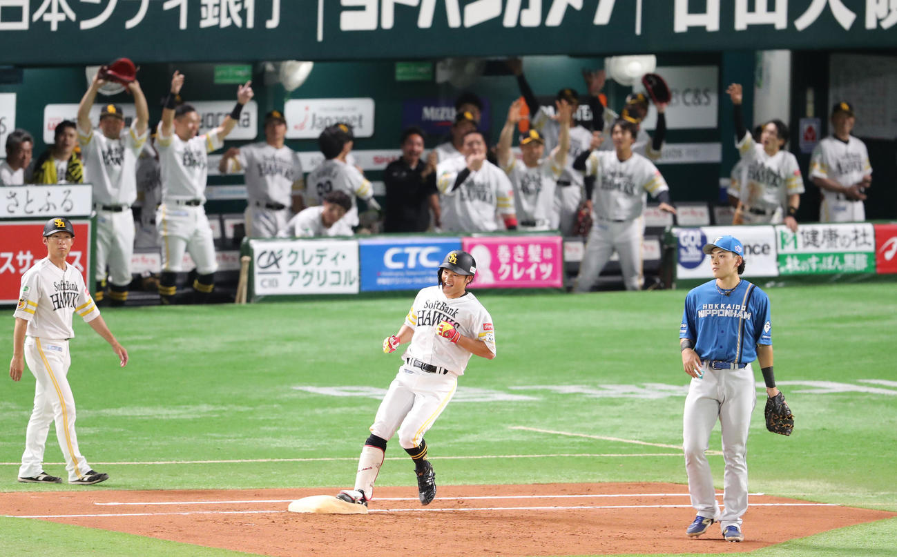 ソフトバンク対日本ハム　2回裏ソフトバンク無死、山本は右前安打を放つ、プロ初安打を喜ぶナイン（撮影・梅根麻紀）