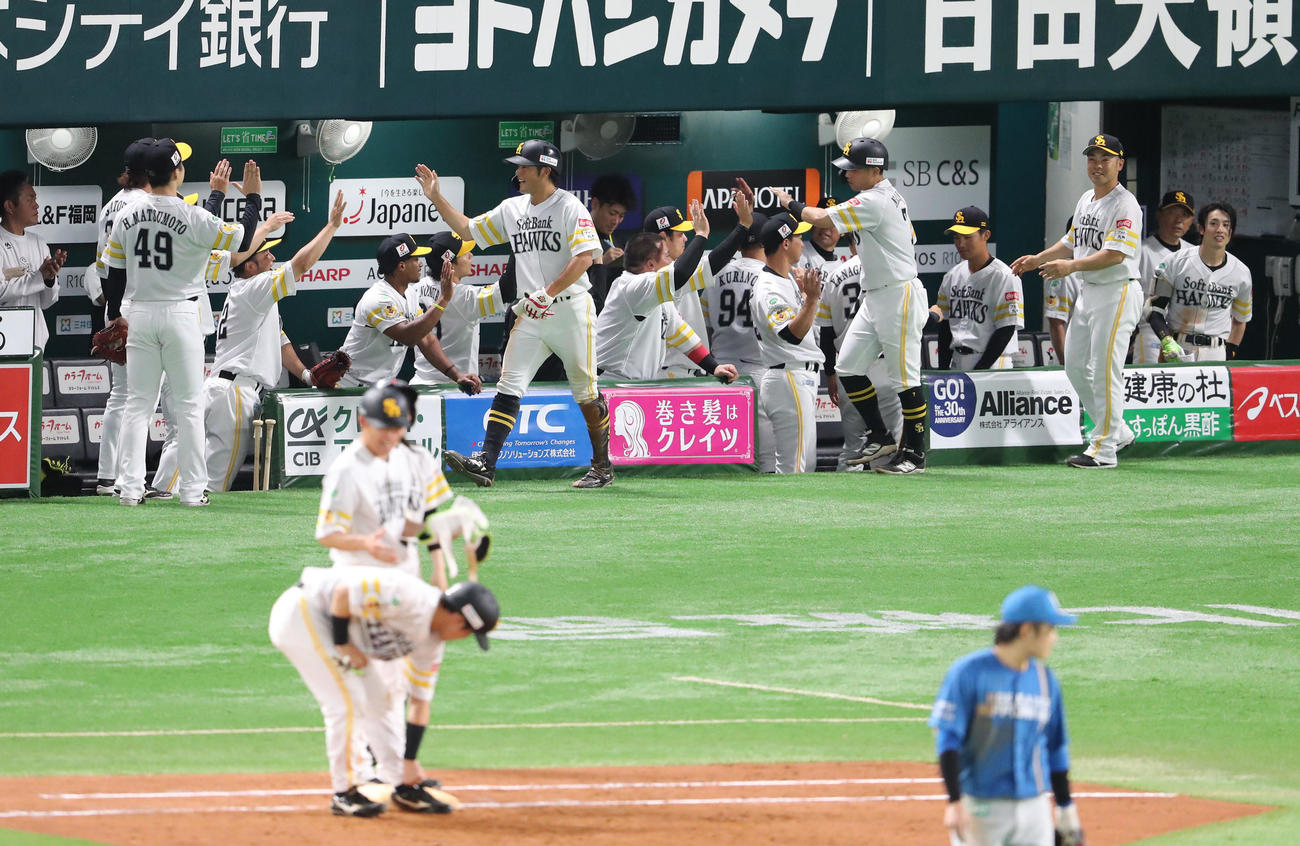 ソフトバンク対日本ハム　4回裏ソフトバンク2死満塁、海野の勝ち越し中前2点適時打で生還した山本と中村はベンチのナインとハイタッチ（撮影・梅根麻紀）