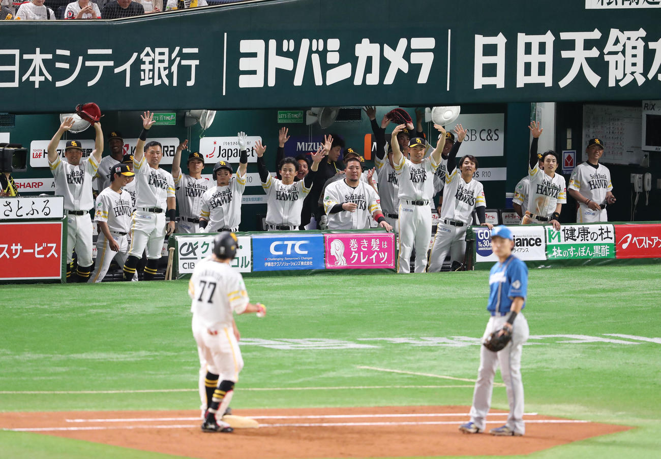 ソフトバンク対日本ハム　2回裏ソフトバンク無死、山本は右前安打を放つ、プロ初安打を喜ぶナイン（撮影・梅根麻紀）