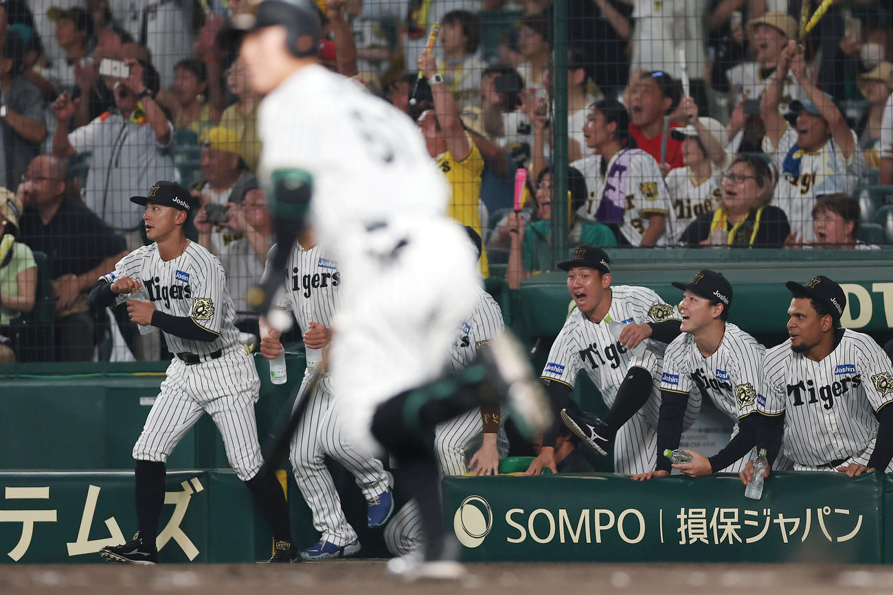 阪神対巨人　9回裏阪神無死満塁、豊田（手前）がサヨナラ犠飛を放ち、ベンチから飛び出す伊原（右から3人目）ら阪神の選手たち（撮影・前田充）
