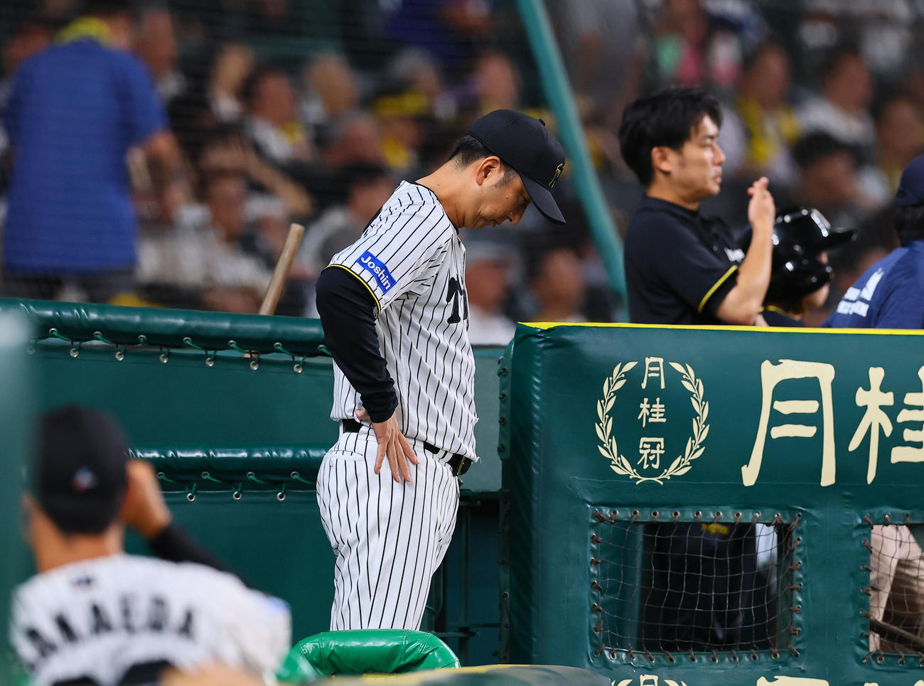 阪神対巨人　8回、交代を告げる前にベンチで立ち止まる阪神藤川監督（撮影・藤尾明華）