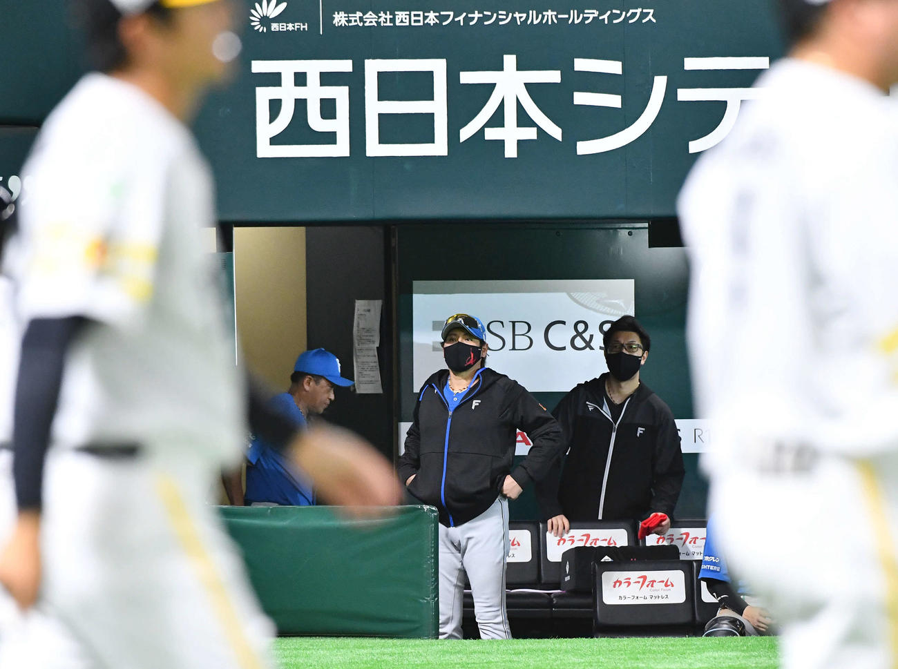 ソフトバンク対日本ハム　試合後、勝利のハイタッチに整列するソフトバンクナインをベンチから見つめる日本ハム新庄監督（中央）（撮影・岩下翔太）