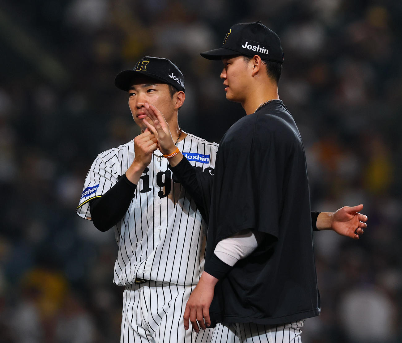 阪神対巨人　サヨナラ勝ちし、及川（右）とタッチを交わす阪神石井（撮影・藤尾明華）