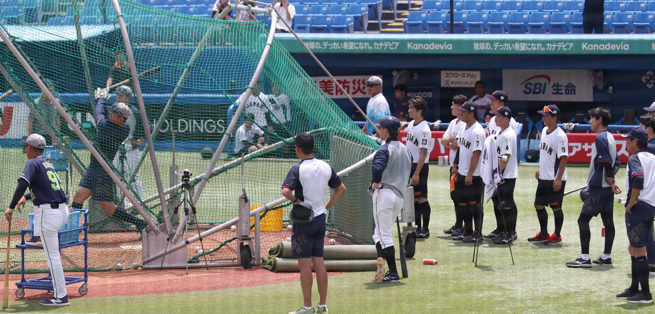 大学代表対ヤクルト2軍の試合前に、フリー打撃するヤクルト村上宗隆（左端）を見つめる侍ジャパン大学代表（撮影・柴田隆二）