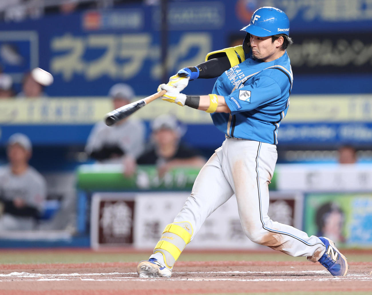 日本ハム水野達稀（2025年5月撮影）