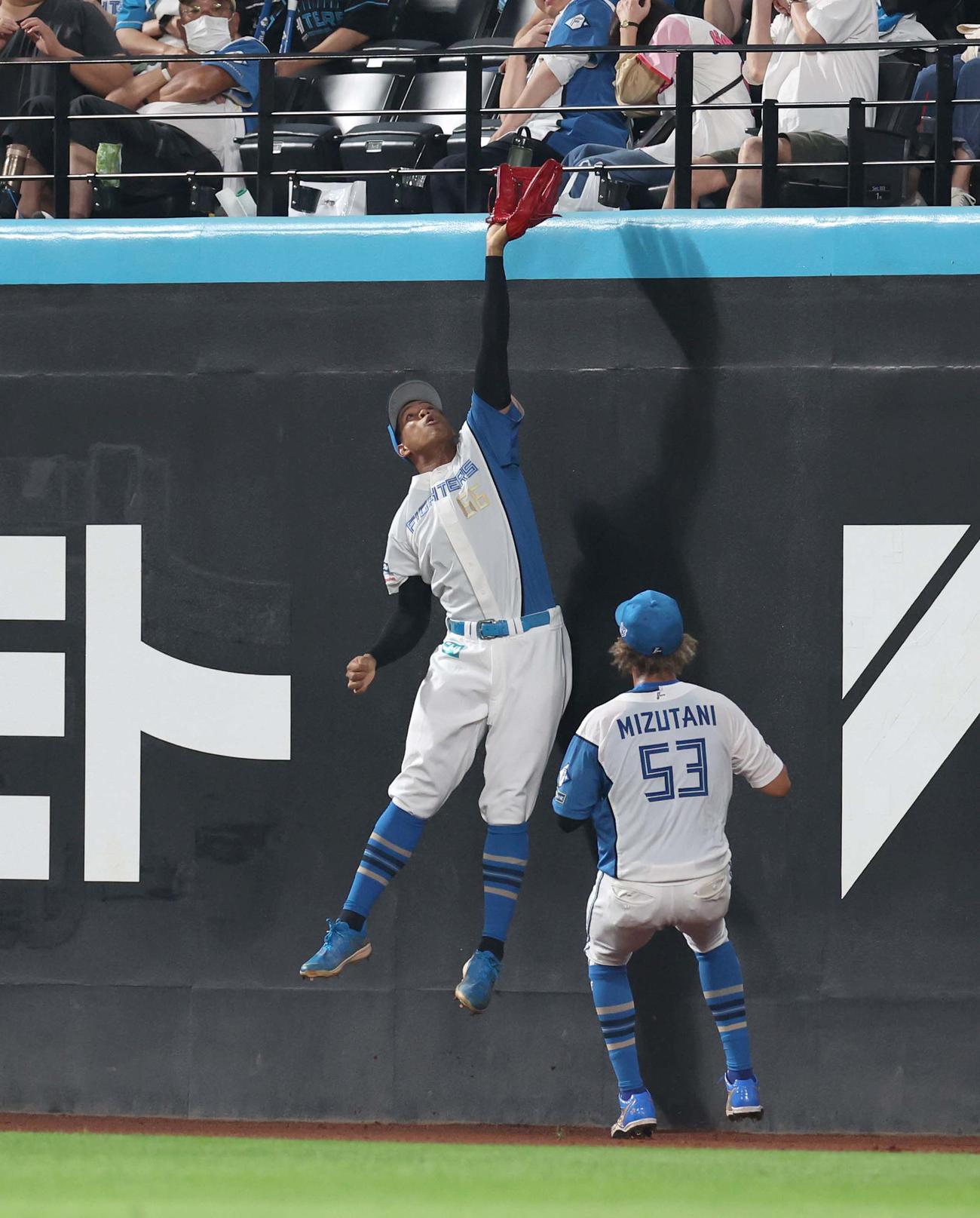 日本ハム対楽天　3回表楽天2死一塁、ボイトの打球をジャンピングキャッチする万波（撮影・黒川智章）