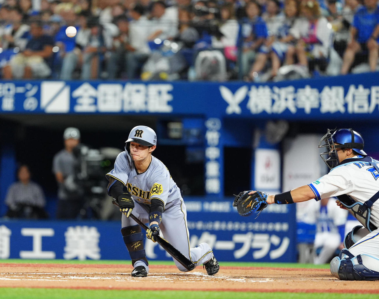 DeNA対阪神　6回表阪神無死一塁、中野はバントも打ち上げ捕邪飛に倒れる（撮影・清水貴仁）