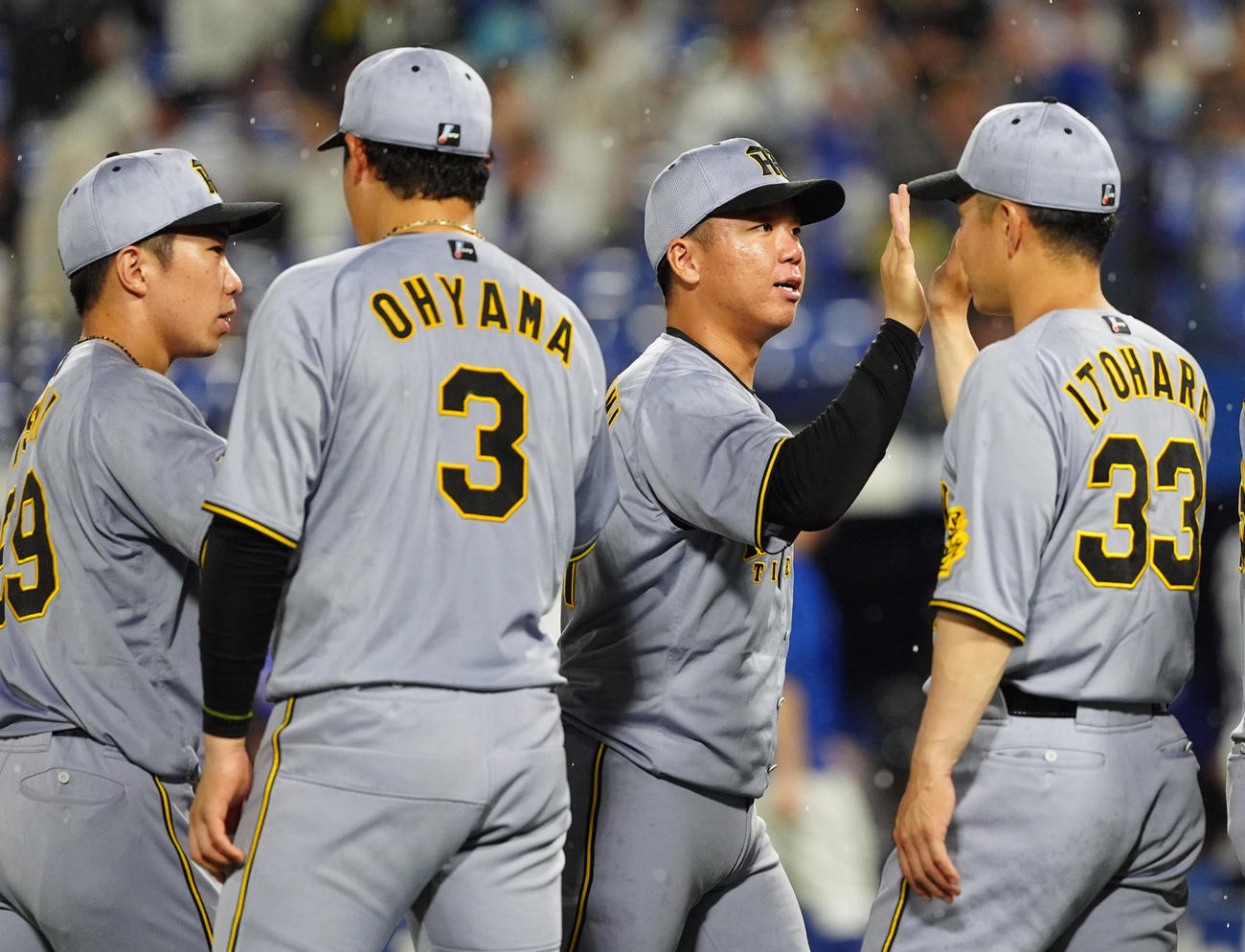 DeNA対阪神　今季8勝目を挙げタッチを交わす阪神村上（右から2人目）（撮影・清水貴仁）