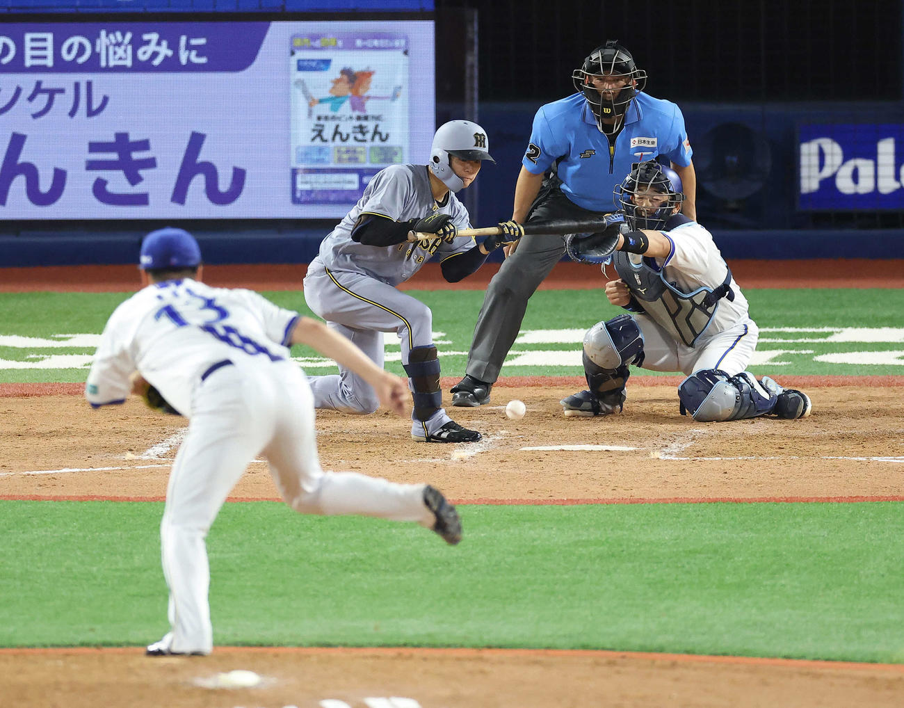 DeNA対阪神　8回表阪神無死一、三塁、送りバントを決める中野。投手伊勢（撮影・河田真司）