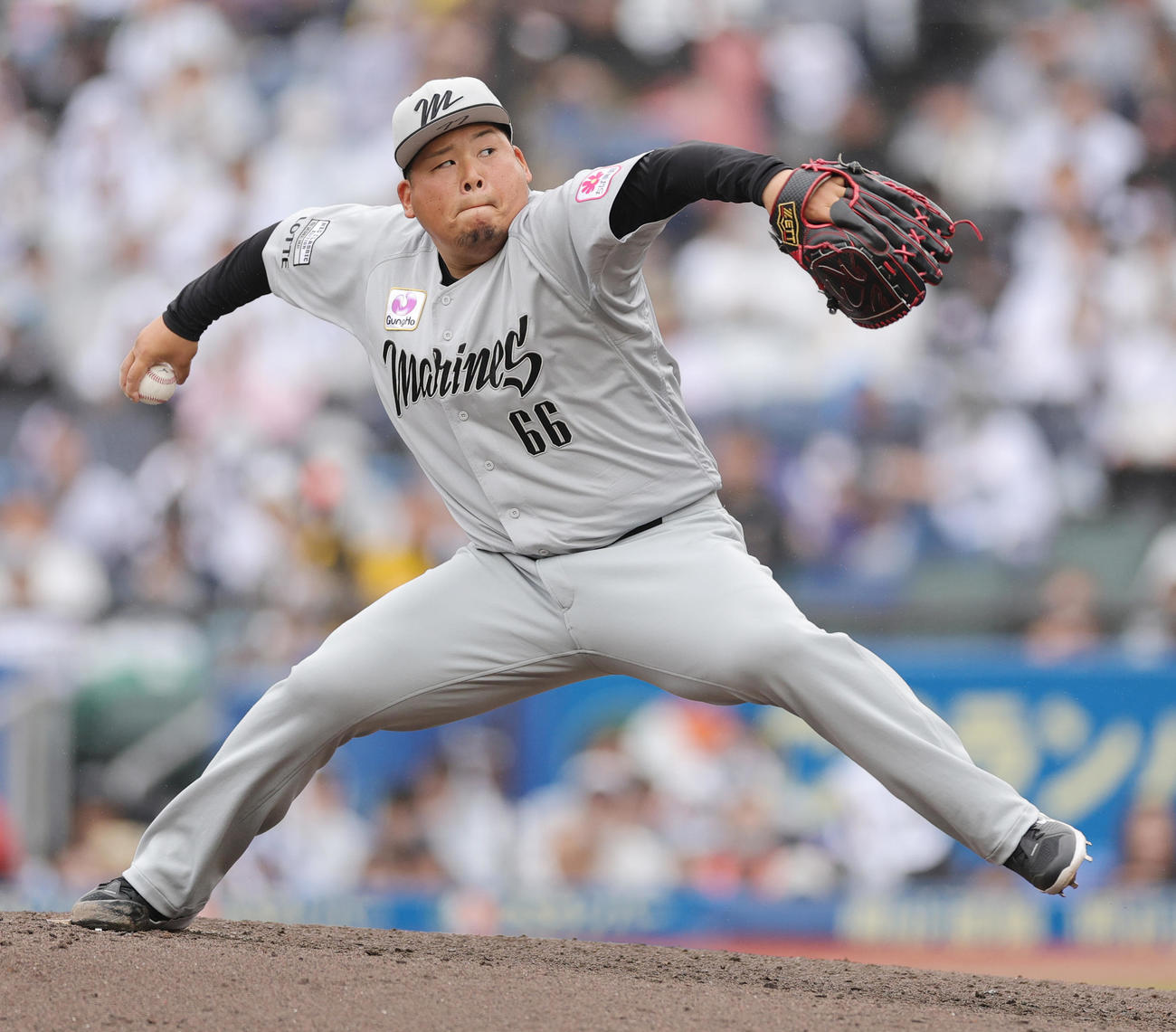ロッテ沢田圭佑（2025年5月24日撮影）