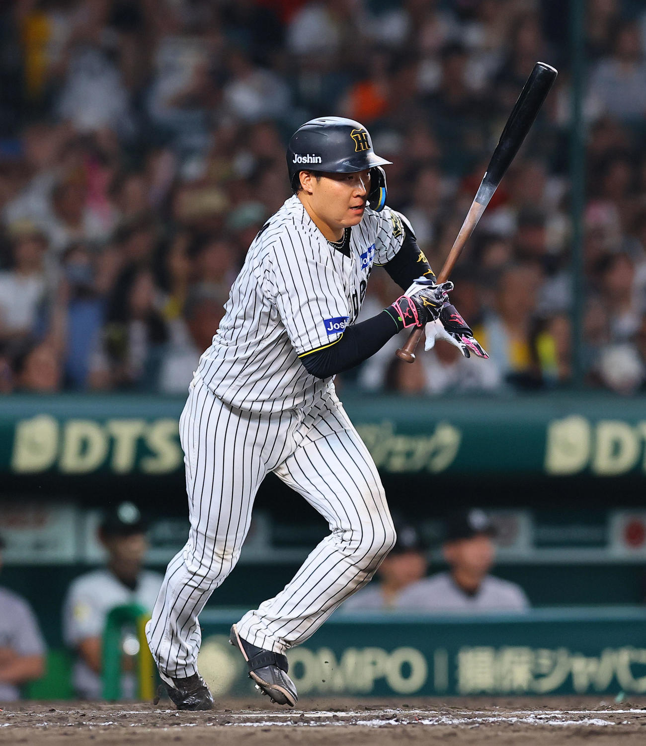 阪神大山悠輔（2025年7月3日撮影）