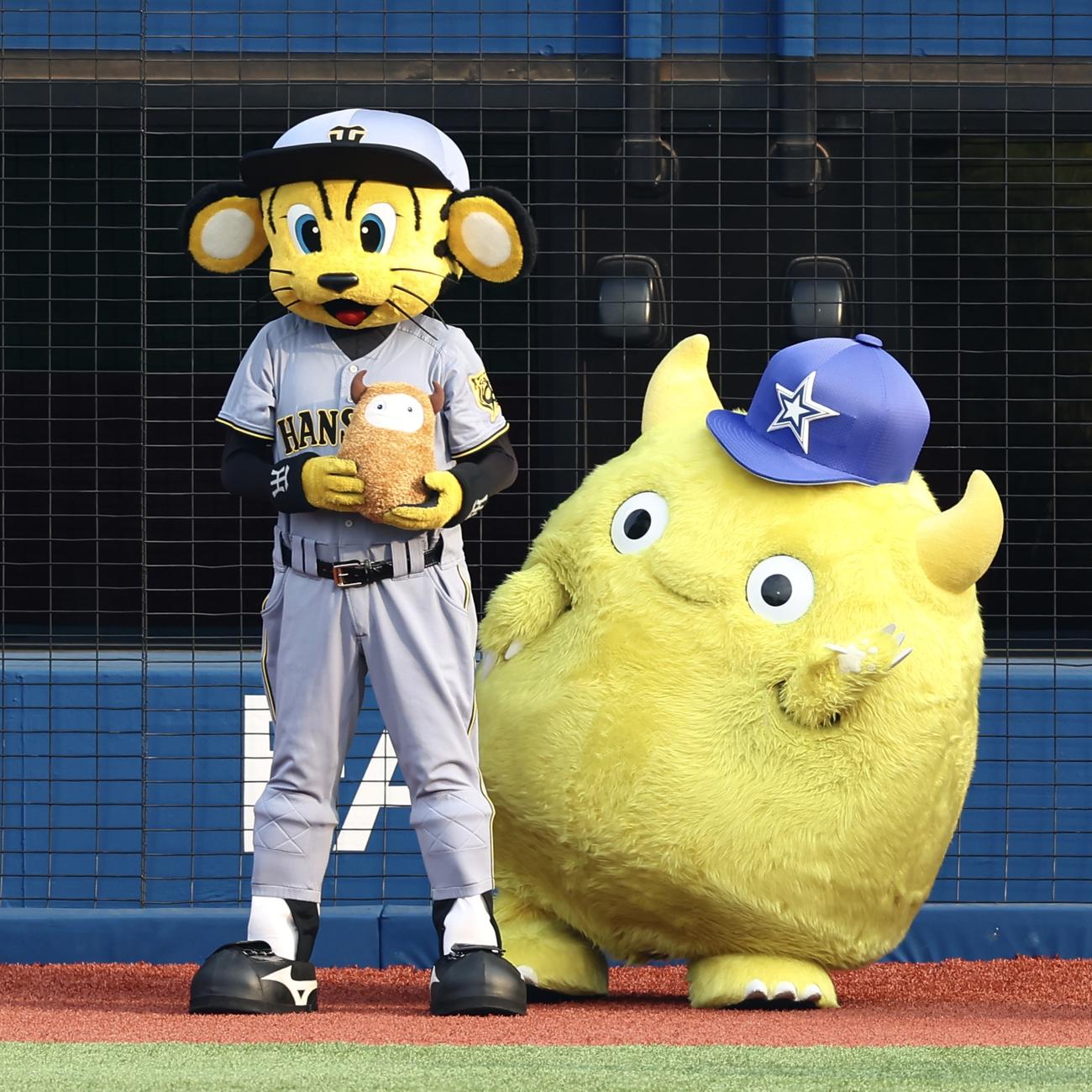 DeNA対阪神　試合前、ポーズを決めるトラッキー（左）とチャピー（撮影・河田真司）