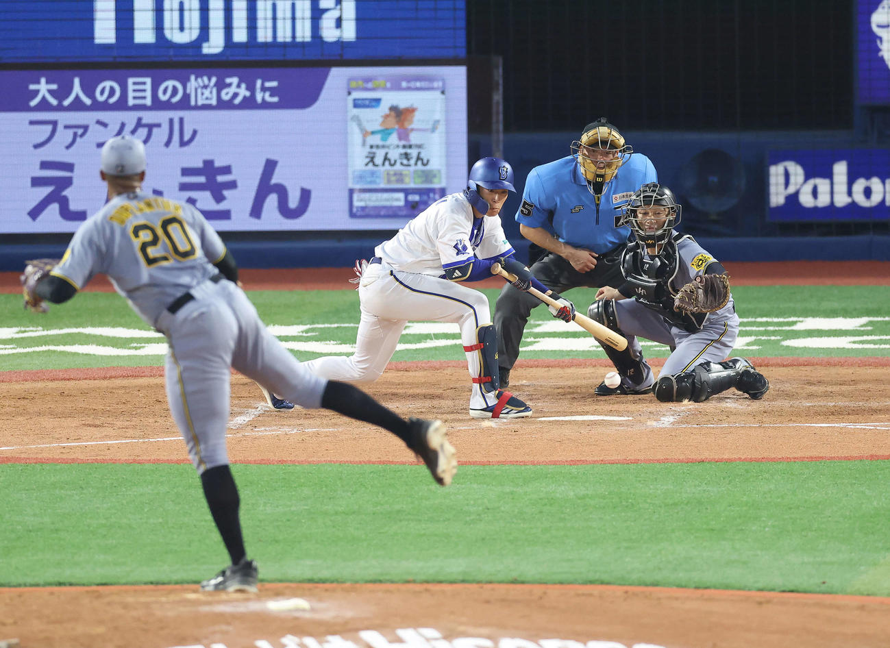DeNA対阪神　4回裏DeNA無死二塁、バントを試みる度会。投手デュプランティエ（撮影・河田真司）