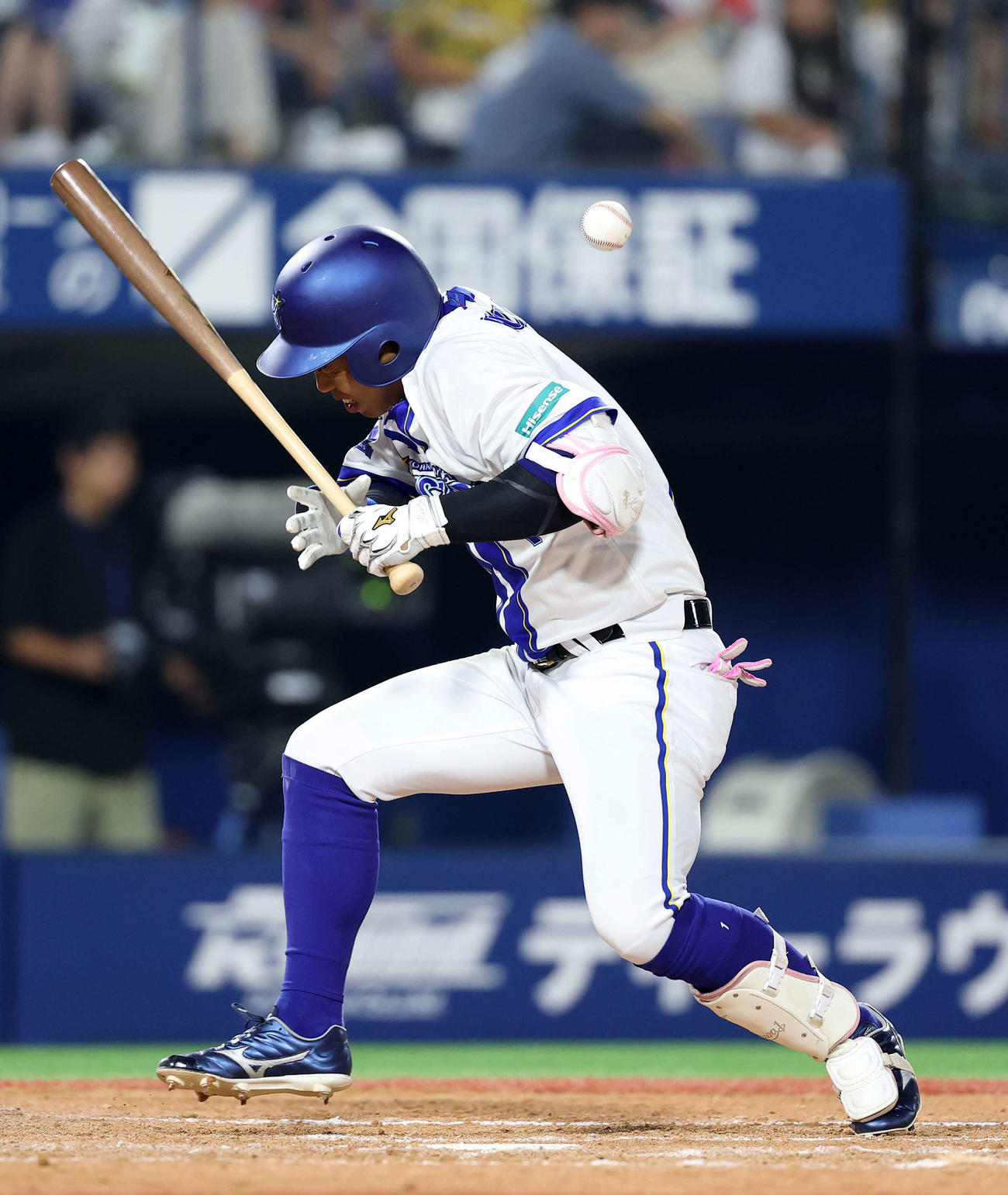 DeNA対阪神　9回裏DeNA1死、桑原は死球を受ける（撮影・鈴木正人）