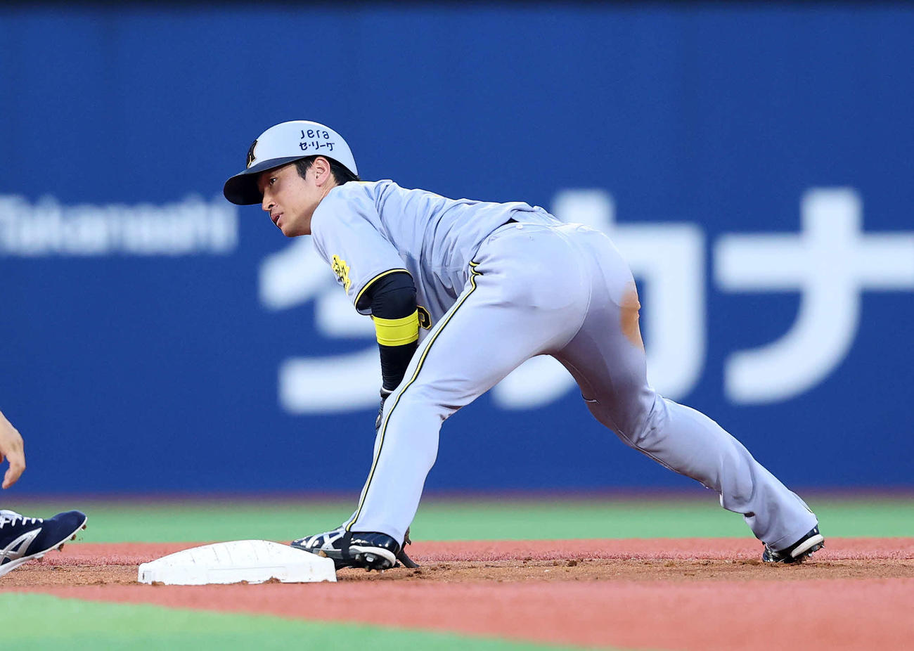 DeNA対阪神　3回表阪神2死一塁、近本は盗塁を決める（撮影・鈴木正人）