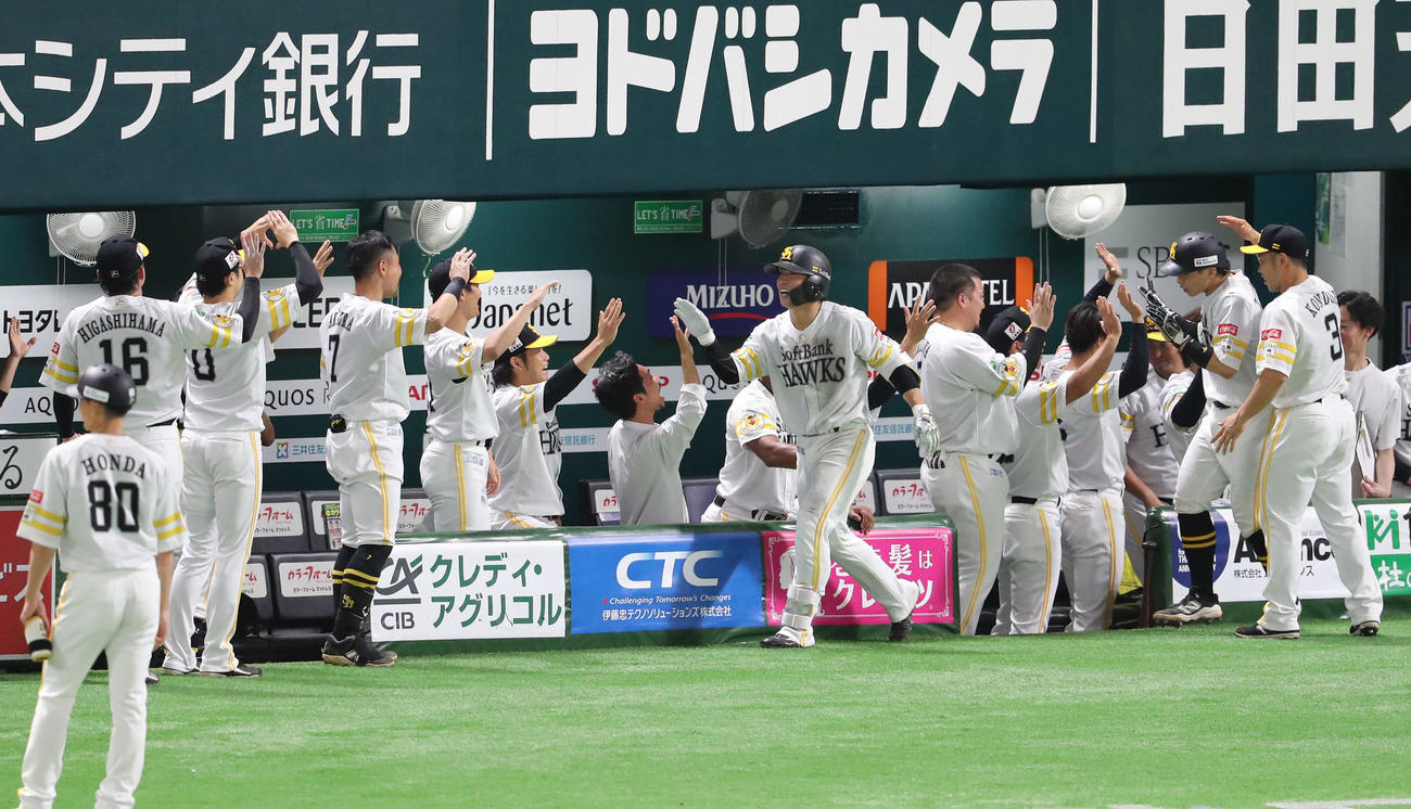 ソフトバンク対西武　4回裏ソフトバンク2死一塁、野村は左越えに勝ち越しとなる2点本塁打を放ちベンチのナインとハイタッチ（撮影・梅根麻紀）
