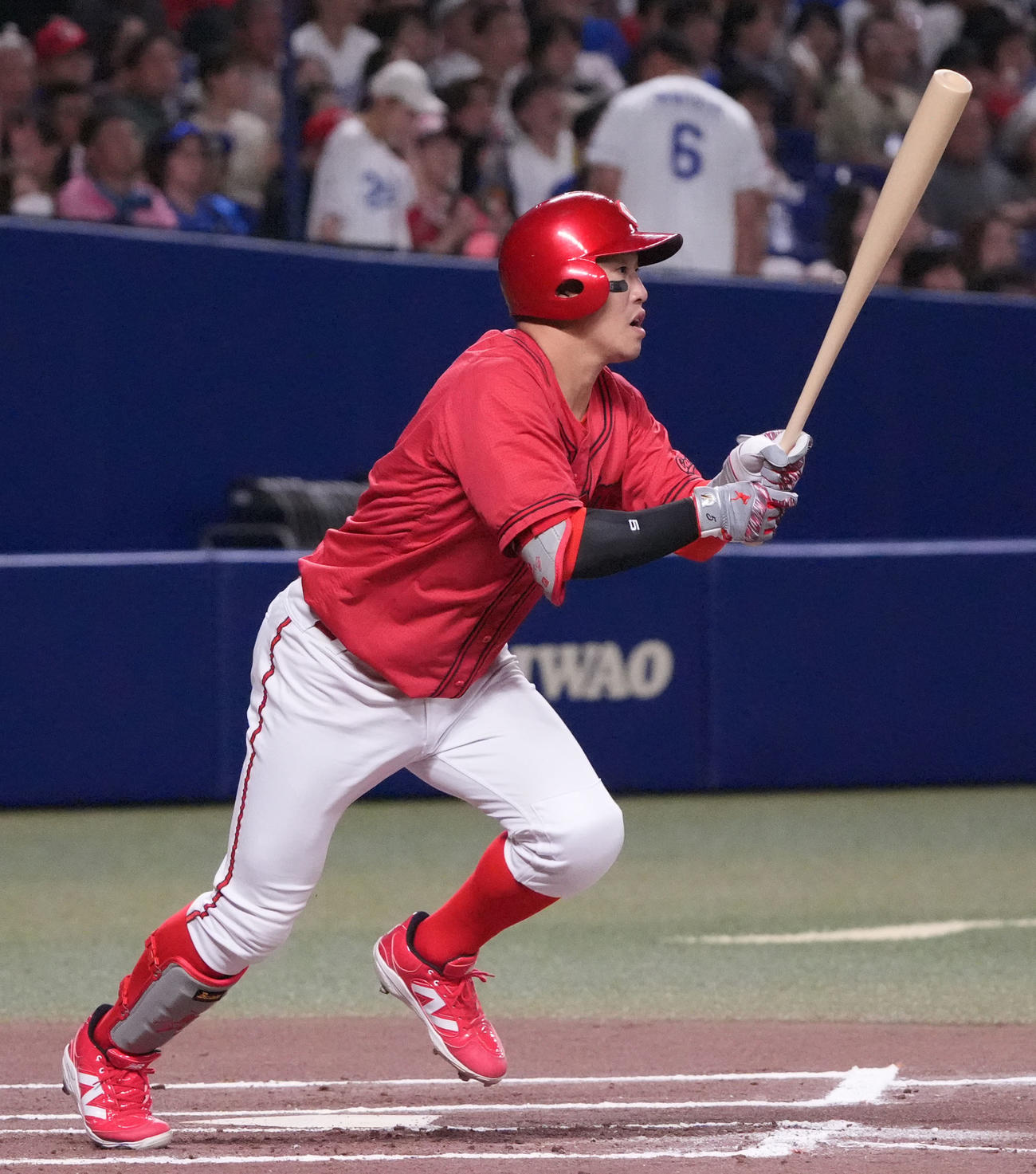 広島小園海斗（2025年6月28日撮影・森本幸一）
