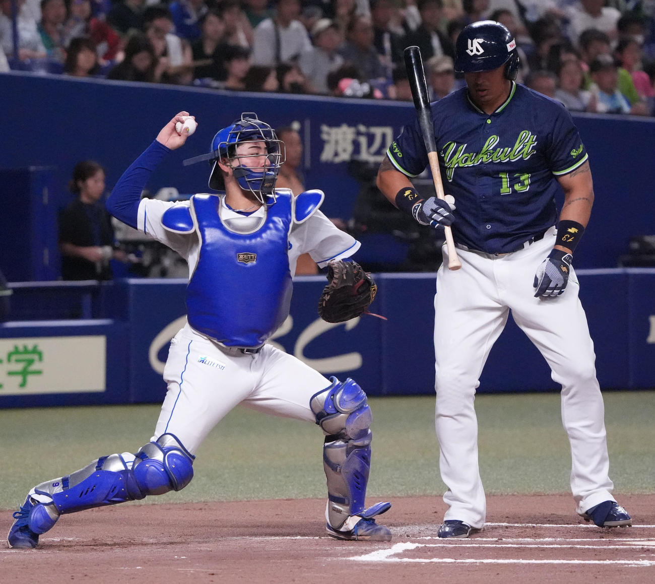 中日対ヤクルト　6回表ヤクルト2死一塁、石伊（左）は赤羽の盗塁を刺す（撮影・森本幸一）