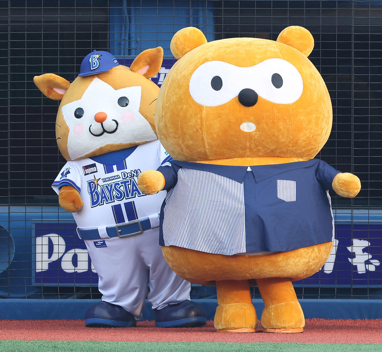 DeNA対阪神　試合前、Ponta（ポンタ）の背中に隠れるDB．スターマン（撮影・河田真司）