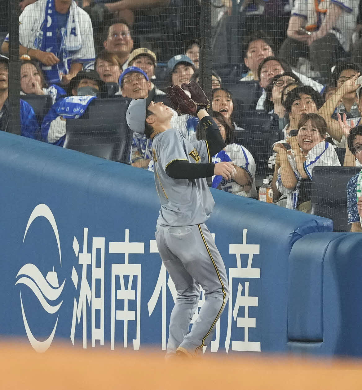 DeNA対阪神　6回裏DeNA1死一、二塁、邪飛を捕球する中野（撮影・井上学）