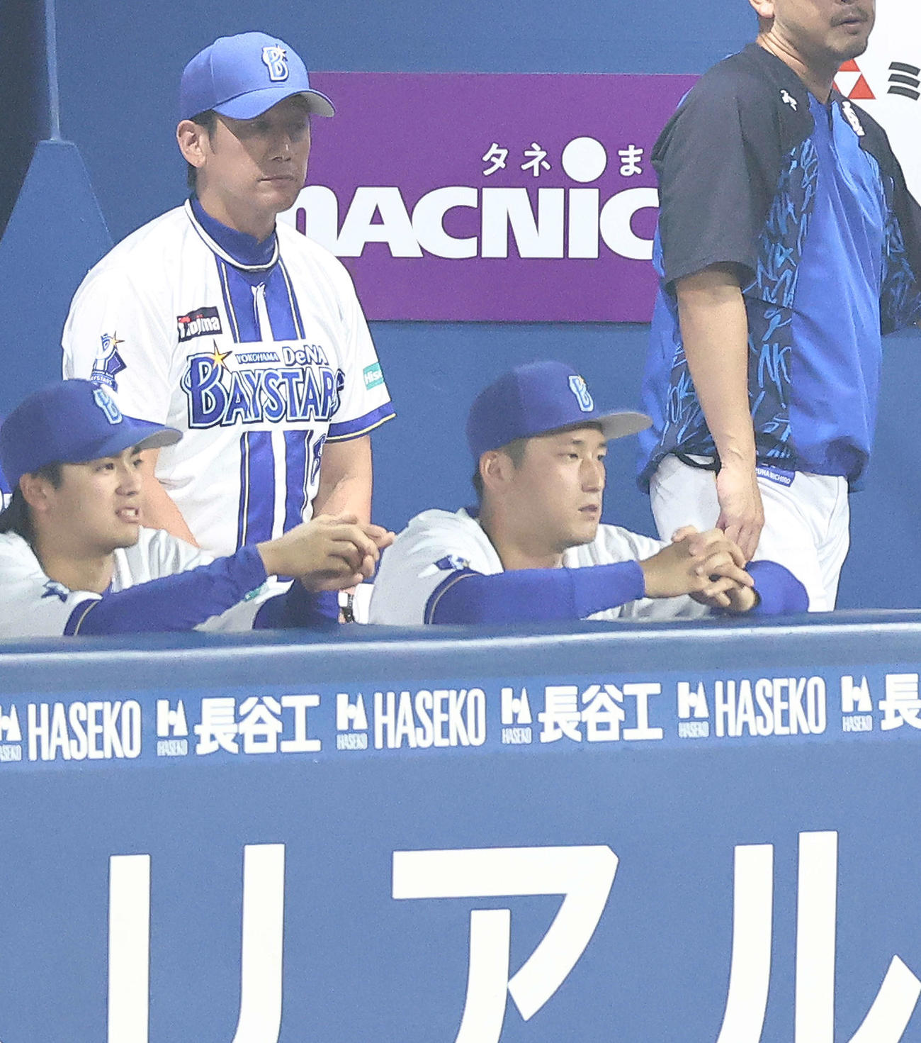 DeNA対阪神　5回裏、戦況を見守る三浦監督（後方左）（撮影・河田真司）