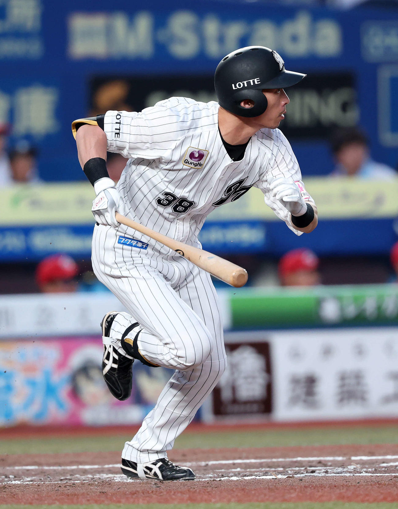 ロッテ高部瑛斗（2025年6月12日撮影）