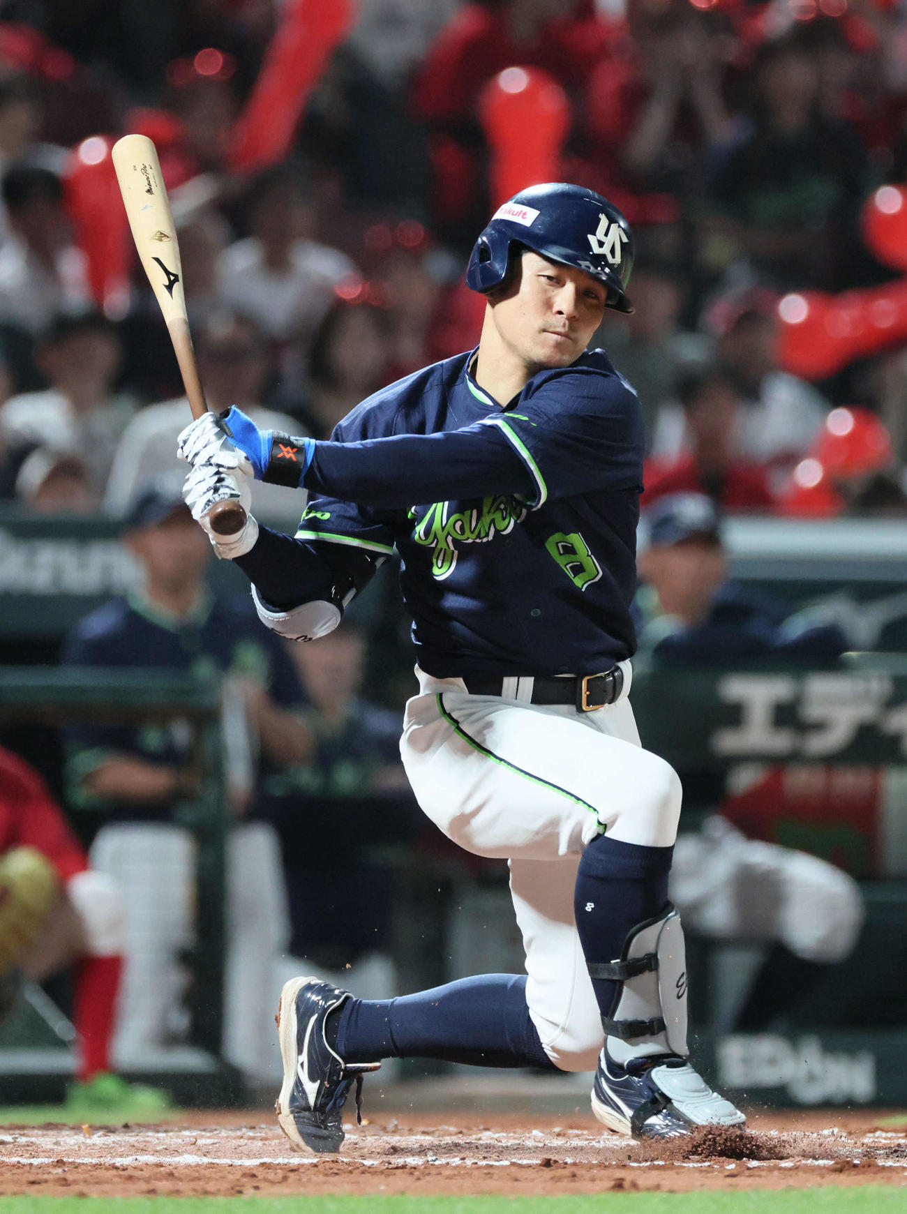 ヤクルト茂木栄五郎（2025年5月撮影）