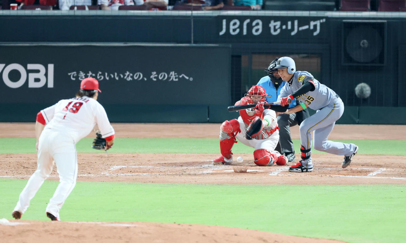 広島対阪神　4回表阪神1死満塁、才木はセーフティーバントするも投ゴロに倒れる。投手床田（撮影・加藤哉）