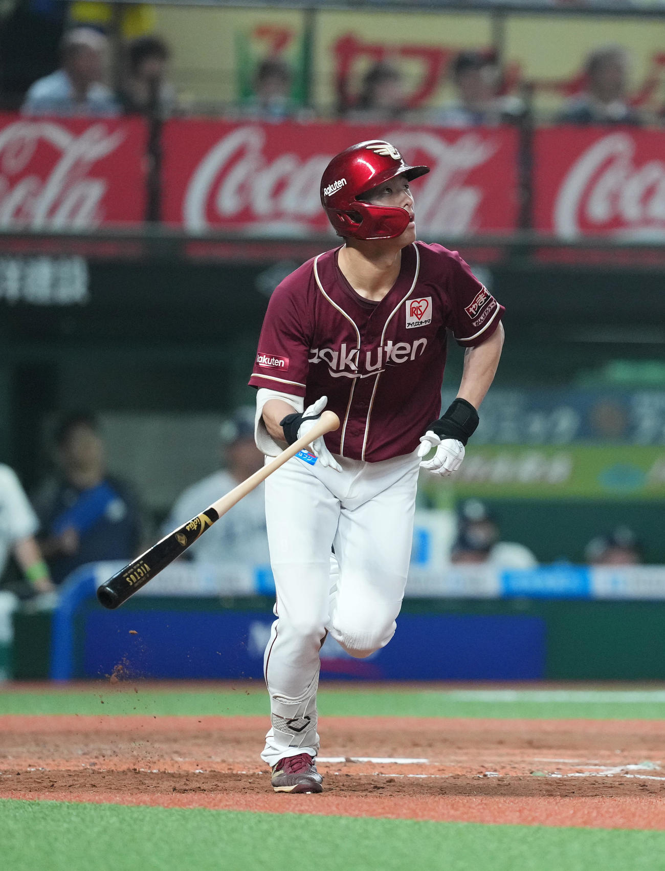 西武対楽天　4回表楽天1死、右越えにソロ本塁打を放つ辰己（撮影・菅敏）
