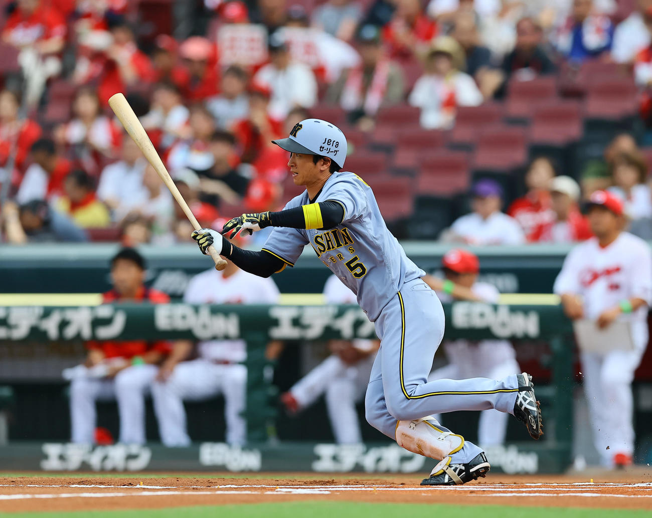 広島対阪神　1回表阪神無死、近本は右前打を放つ（撮影・藤尾明華）