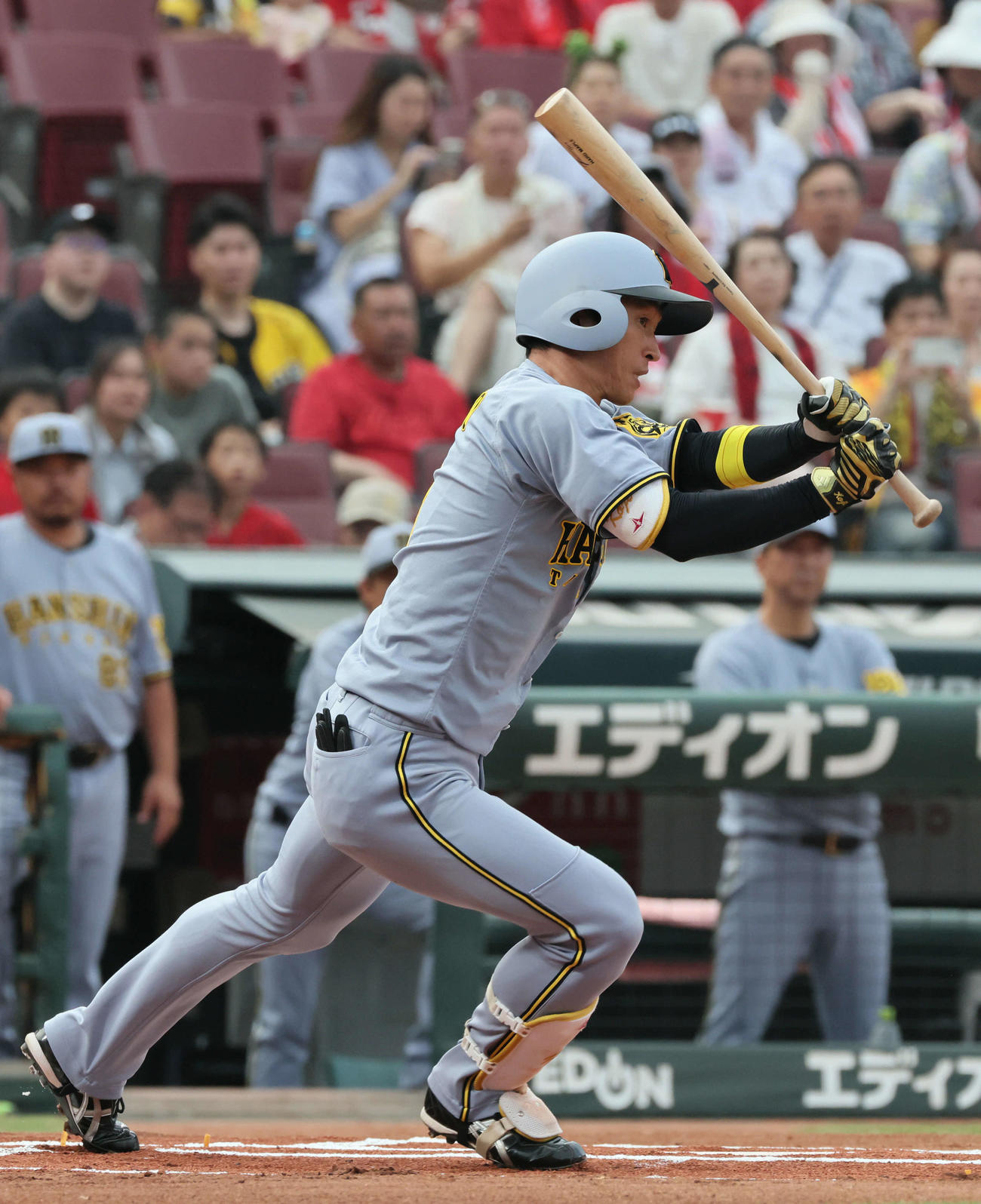 広島対阪神　1回表阪神無死、近本は右前打を放つ（撮影・加藤孝規）