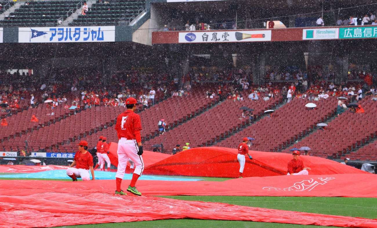 広島対阪神　雨が強まりシートを敷くスタッフ（撮影・藤尾明華）
