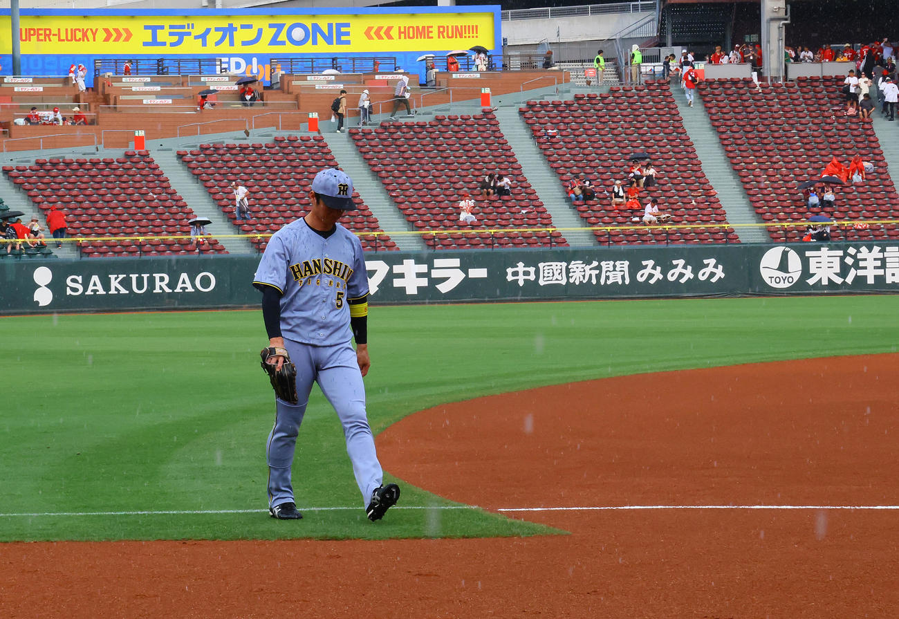 広島対阪神　試合前のウオーミングアップ中に、雨が強まりベンチに戻る阪神近本光司（撮影・藤尾明華）