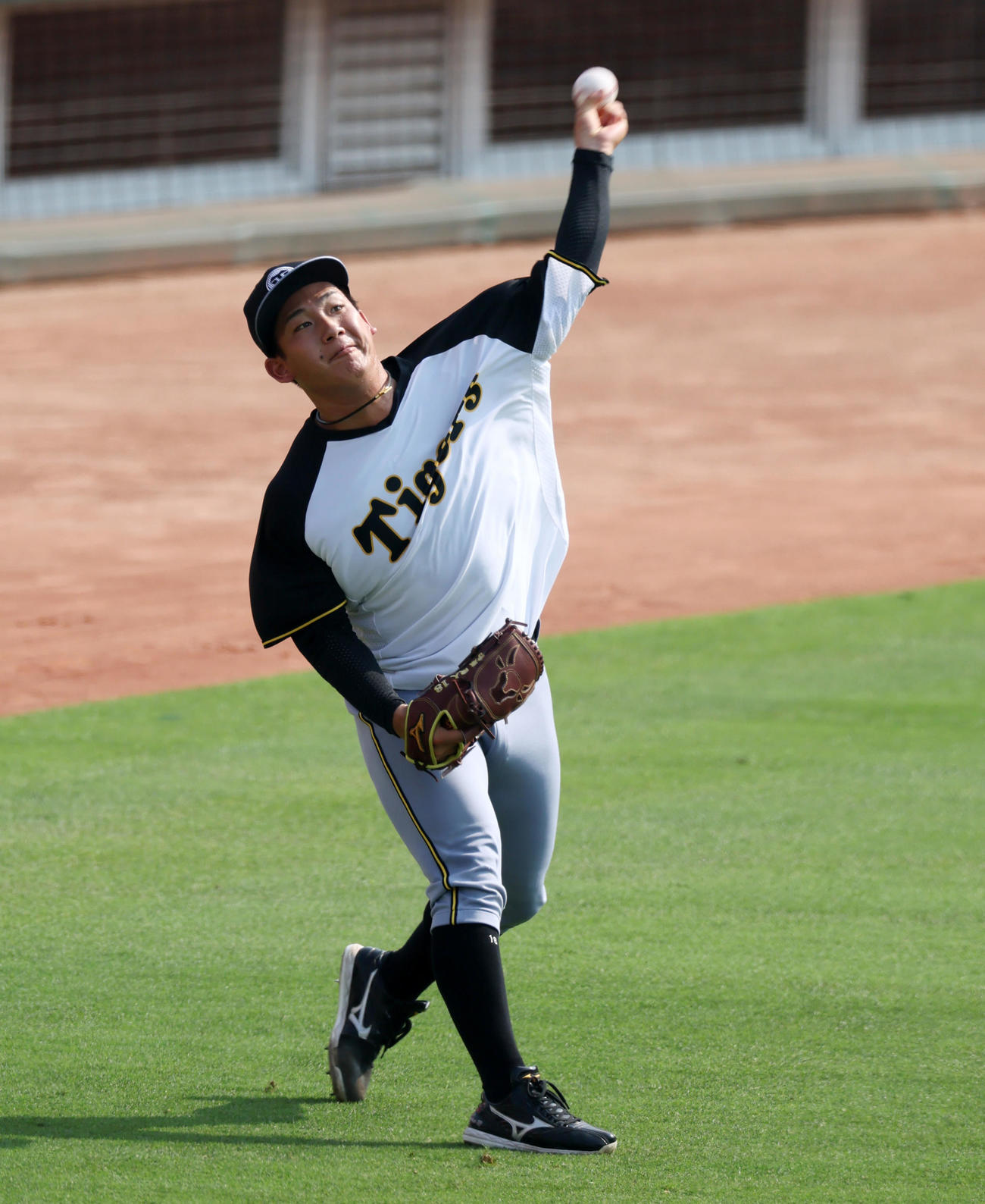 広島対阪神　キャッチボールする伊原（撮影・加藤哉）